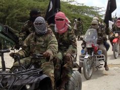 Boko Haram kills 12, abducts one in Borno