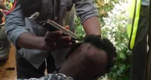 Kano hisbah arrests 52 tricycle riders for ‘immoral haircuts’ Kano hisbah arrests 52 tricycle riders for ‘immoral haircuts’