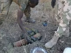 Landmine blast kills 12 in Borno