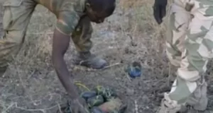 Landmine blast kills 12 in Borno Landmine blast kills 12 in Borno