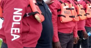 NDLEA arrest 198 suspects, dismantles 21 illicit drug joints in Kano NDLEA arrest 198 suspects, dismantles 21 illicit drug joints in Kano