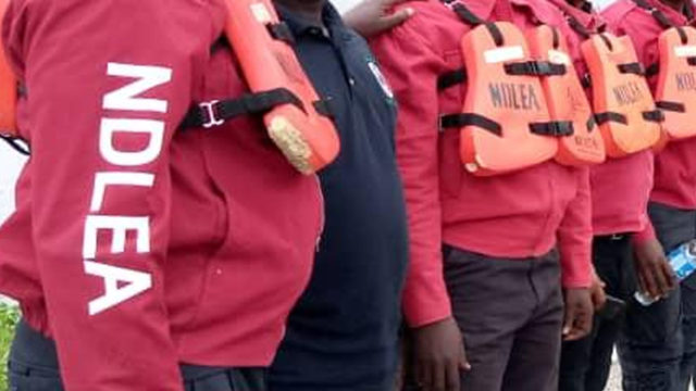 NDLEA arrest 198 suspects, dismantles 21 illicit drug joints in Kano NDLEA arrest 198 suspects, dismantles 21 illicit drug joints in Kano