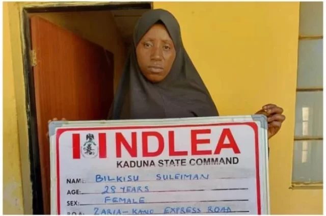 NDLEA arrests female bandits’ ammunition supplier NDLEA arrests female bandits’ ammunition supplier