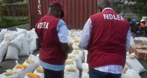 NDLEA raids “skuchies” factory NDLEA raids “skuchies” factory