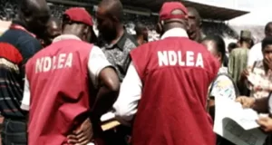 NDLEA seizes N100m worth of illicit drugs NDLEA seizes N100m worth of illicit drugs in Plateau