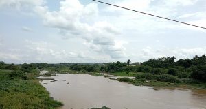 Woman arrested for throwing five-month-old daughter into Ogun river Woman arrested for throwing five-month-old daughter into river in Ogun