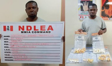 Brazil returnee excretes 60 wraps of cocaine