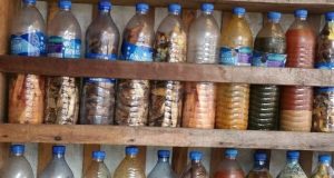 2 dead, 2 hospitalised in Kogi community after taking herbal concoction 2 dead, 2 hospitalised in Kogi community after taking herbal concoction