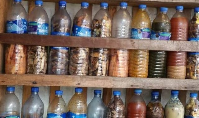 2 dead, 2 hospitalised in Kogi community after taking herbal concoction 2 dead, 2 hospitalised in Kogi community after taking herbal concoction