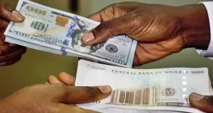 BDC operators shut down business BDC operators shut down business