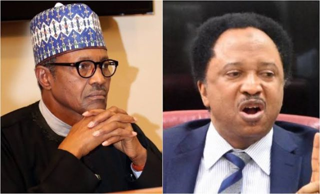 Nigeria paying for Buhari's mistakes – Shehu Sani
