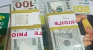 12 suspected members of a fake dollar syndicate ARRESTED 12 suspected members of a fake dollar syndicate ARRESTED