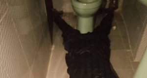 Ondo socialite, Adelabu kills wife, commits suicide Ondo socialite, Adelabu kills wife, commits suicide