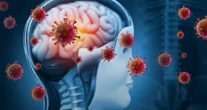 Meningitis k!lls 20 students in Yobe Meningitis k!lls 20 students in Yobe
