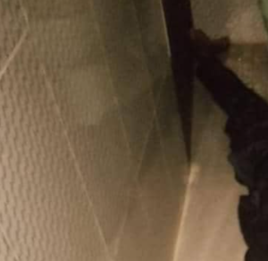 Ondo socialite, Adelabu kills wife, commits suicide