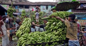 Russia begins buying bananas from India after spat with Ecuador Russia begins buying bananas from India