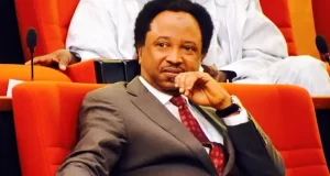 AFCON: Shehu Sani tells Nigerians; it’s now time to face cup of garri Shehu Sani tells Nigerians; it's now time to face cup of garri