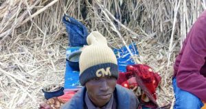 Police arrest bandit planning to set up camp in Kano forest Police arrest bandit planning to set up camp in Kano forest