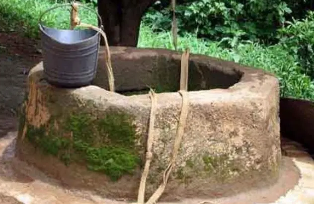 Man dies while rescuing son from well