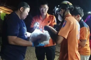Baby's body found burnt, mutilated and ravaged by stray dogs