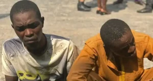 Ritualist confesses he picks up girls from dating apps A star suspect in a case of ritual killings and sale of human parts in Ogun State, Adebayo Azeez, on Thursday, shared a chilling story of how he had used a dating app, “MyChat” to lure and brutally murder seven women mainly for money ritual purposes