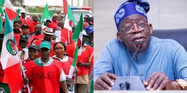 We’re not after your job, NLC replies Tinubu