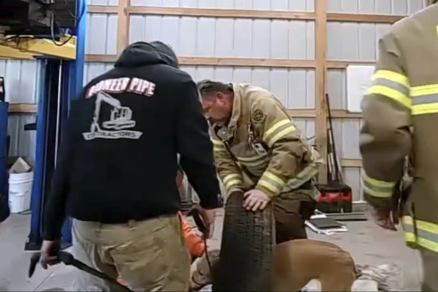 Firefighters rescue yellow dog stuck in trye