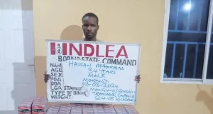 Man arrested with 44,950 pills of tramadol Man arrested with 44,950 pills of tramadol