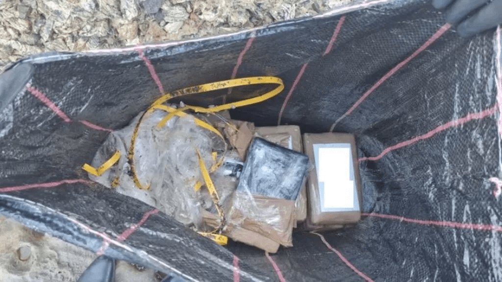 Cocaine bricks wash up on Sydney beaches