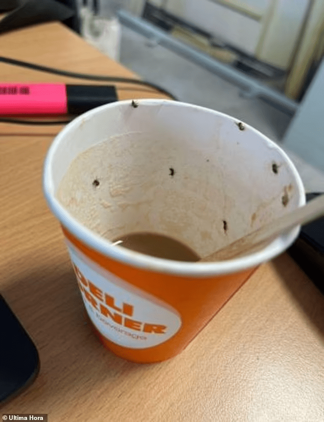 Woman, 21 fighting for life after drinking coffee with insects