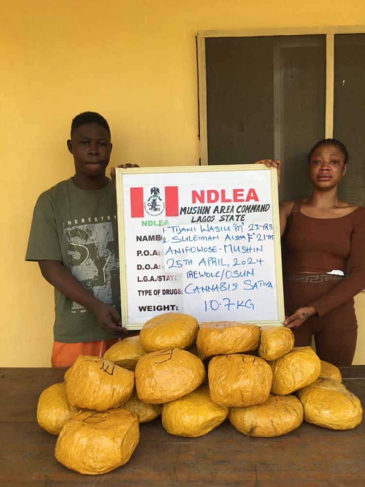 NDLEA arrests 28-Year-Old woman who produces Cakes laced with Drugs