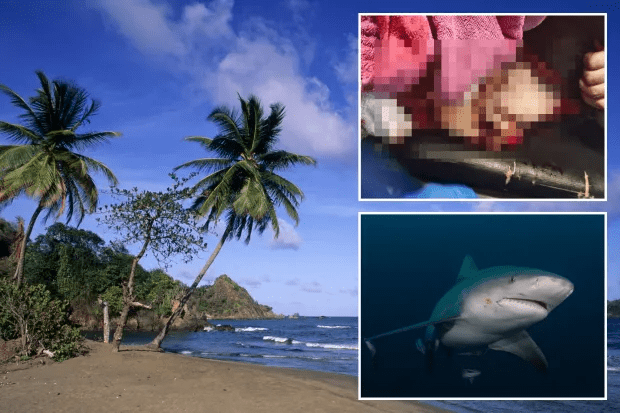 British tourist attacked by shark