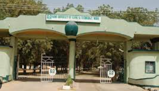 300-level female Kano varsity student found D3AD 300-level female Kano varsity student found D3AD