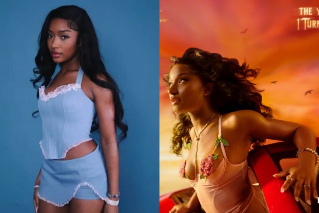 Ayra Starr dragged for not featuring enough female artistes