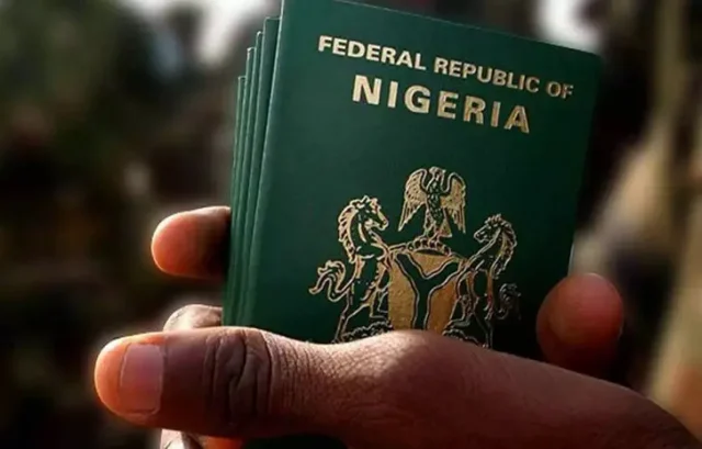 Investors, tourists to get visas within 48 hours — FG