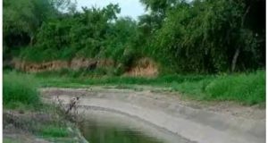 Landlady and her husband flee after throwing tenant’s corpse into canal Landlady and her husband flee after throwing tenant’s corpse into canal