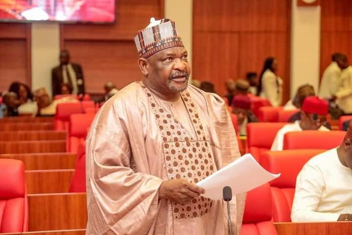 Senate recalls Ningi from three-month suspension Senate recalls Ningi from three-month suspension