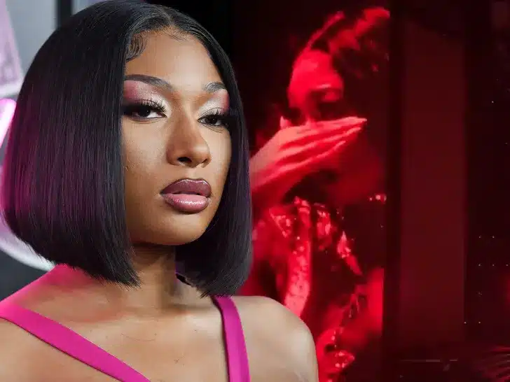 "Megan Thee Stallion vows to take Legal Action against fake sex tape perpetrators 
