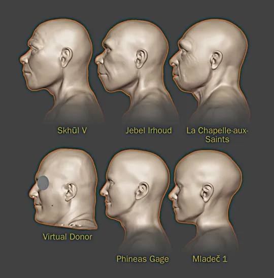 FACE of the oldest human being revealed after 300,000 years