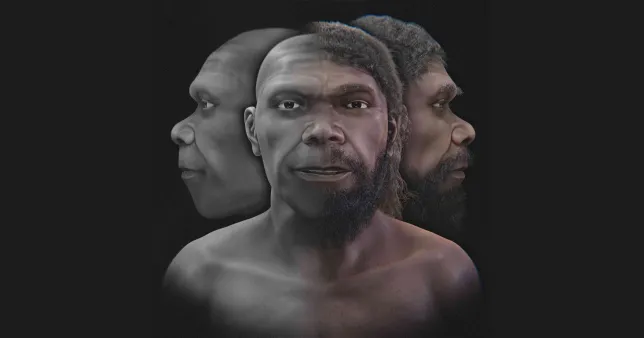 FACE of the oldest human being revealed after 300,000 years FACE of the oldest human being revealed after 300,000 years