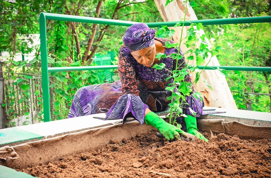 First Lady, Remi Tinubu unveils her vegetable plant in the state house
