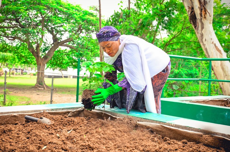 First Lady, Remi Tinubu unveils her vegetable plant in the state house