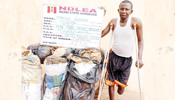NDLEA arrests physically-challenged man found with cannabis NDLEA arrests physically-challenged man found with cannabis