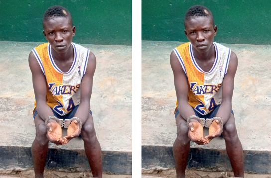 Pictured! Police arrest suspected ARMED ROBBER Pictured! Police arrest suspected ARMED ROBBER