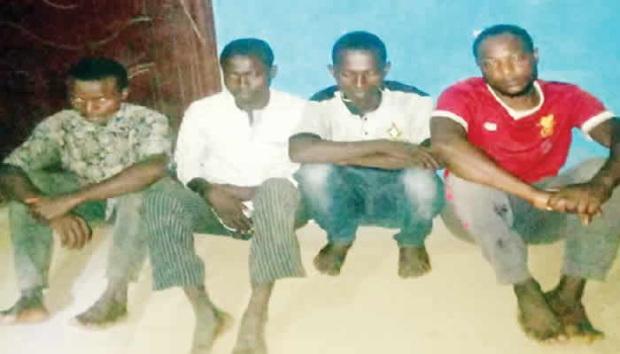 FIVE arrested for allegedly stealing 18 COWS FIVE arrested for allegedly stealing 18 COWS