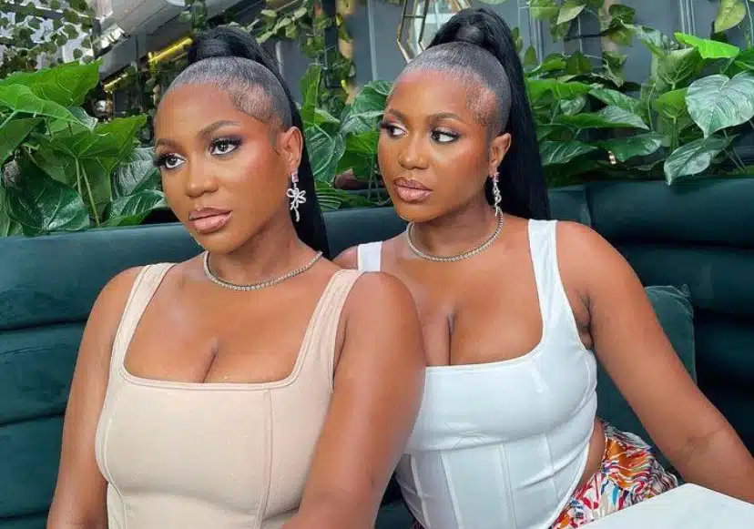 BBNaija S9: Wanni threatens to take action over alleged molestation of twin sister Handi