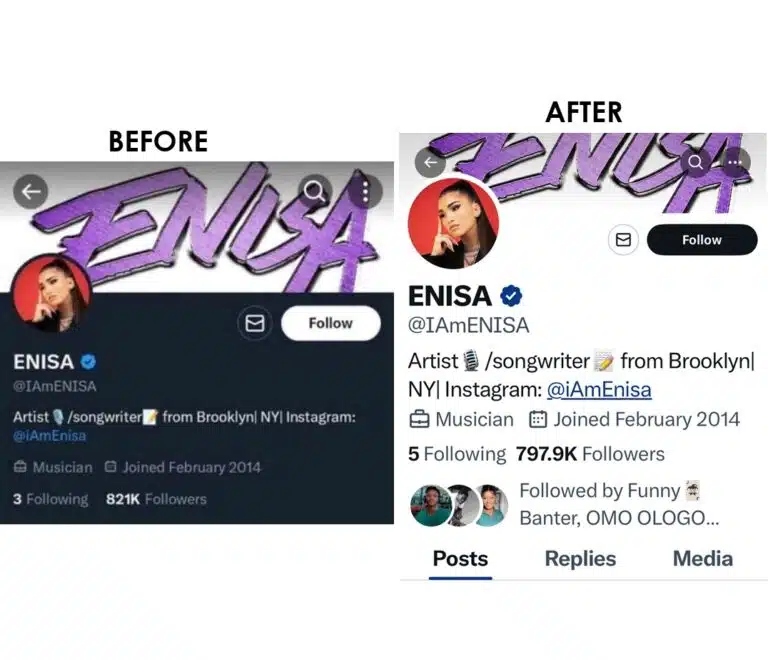 Thousands unfollow Enisa after she unfollowed Davido, others