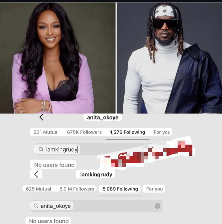 Paul Okoye and Ex, Anita Okoye, unfollow mutually on Instagram 