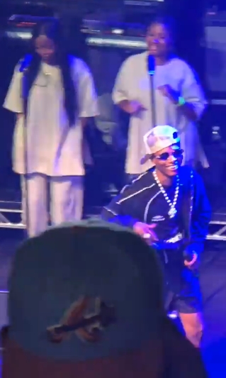 Wizkid makes surprise appearance at Seyi Vibez's concert