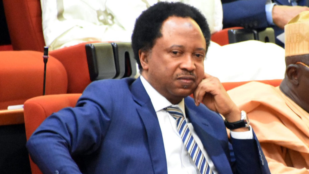 Shehu Sani reacts after senator disclosed N21million monthly earnings Shehu Sani reacts after senator disclosed N21million monthly earnings